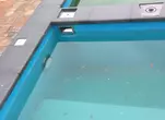 798.JPG